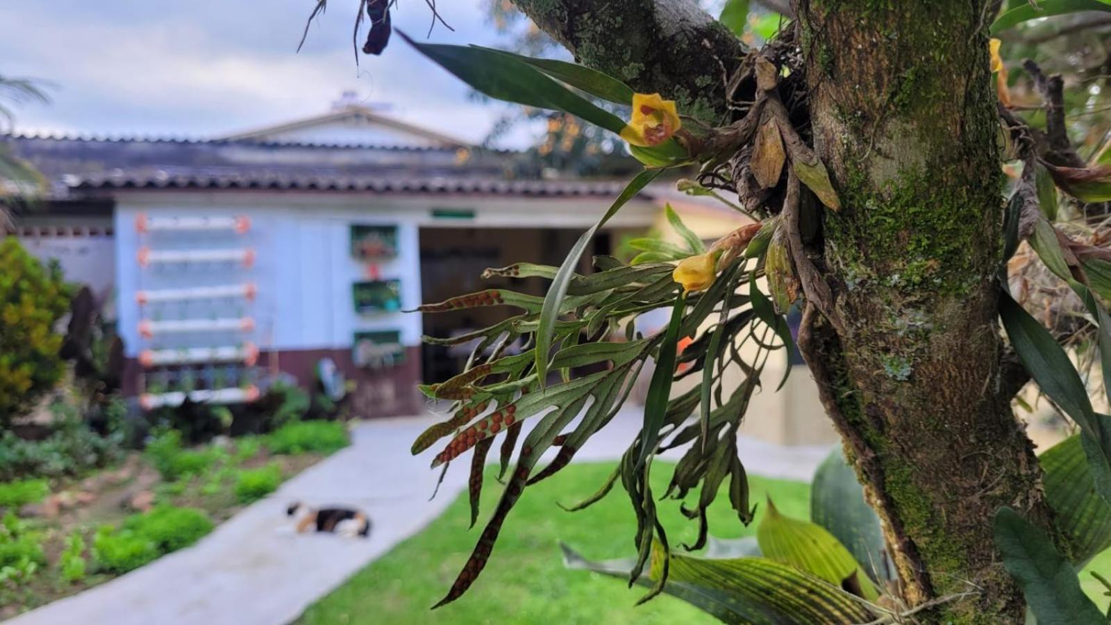 Ecohostel Dos Canyons Santa Catarina Praia Grande  Zewnętrze zdjęcie